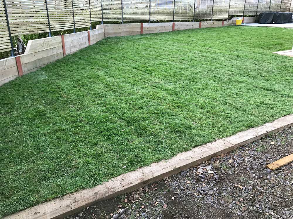 turf services