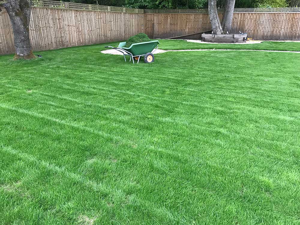 turf services
