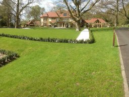 Verwood Gallery
